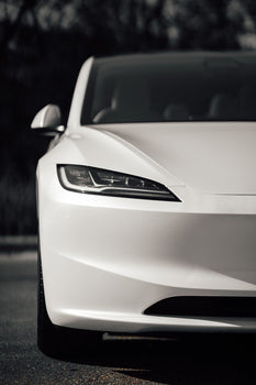Tesla Laurent Nay