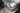 Volvo P 1800 S, E, ES, PV, AMAZON, P121, 122, 123GT luggage, bag , suitcase
